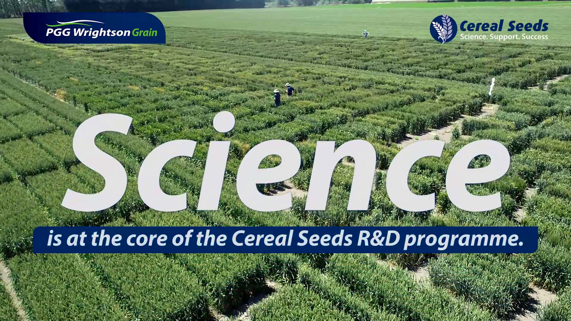 Cereal Seeds R&D Overview Video